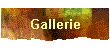 Gallerie